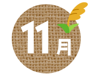 11��